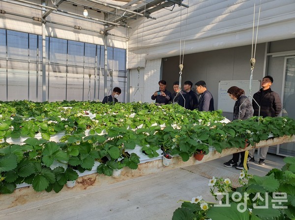 스마트팜 시설 견학 중인 참가자들.