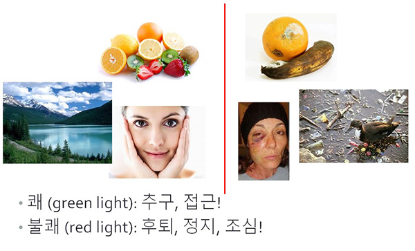 인류는 진화하면서 쾌, 불쾌라는 경험을 생존의 도구로 사용했다. 자신의 생존에 유리한 '쾌'의 상황에서 행복을 느끼는 개체만이 오늘날까지 살아 남았고, 그렇지 못한 개체는 결국 멸종했다. [이미지 = 서은국 교수 발제 자료]