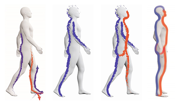맨발로 걸을 때 기운의 변화와 흐름도. [이미지 출처 = 유용우 원장 특강 자료]