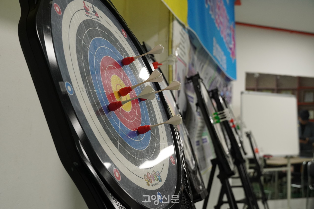 한궁 전용 과녁과 핀.