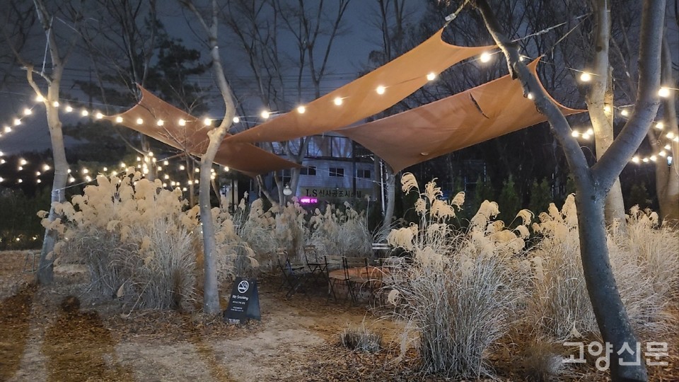 2000여 평의 카페는 넓은 야외에서 자연을 느끼며 휴식하기 좋은 좌석들로 꾸며져 있다.