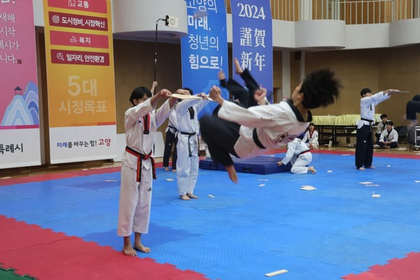 고양시태권도시범단의 송판 격파 시범.