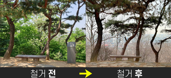 정발산 '김대중 벤치' 표지물 철거 전-후 모습. [사진제공=정진경]