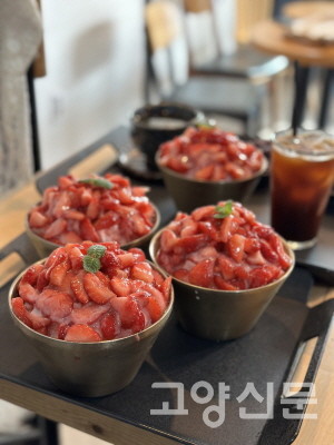 싱싱한 겨울 딸기가 가득 올라간 딸기폭탄빙수는 SNS에서 입소문 자자한 인기 메뉴다.