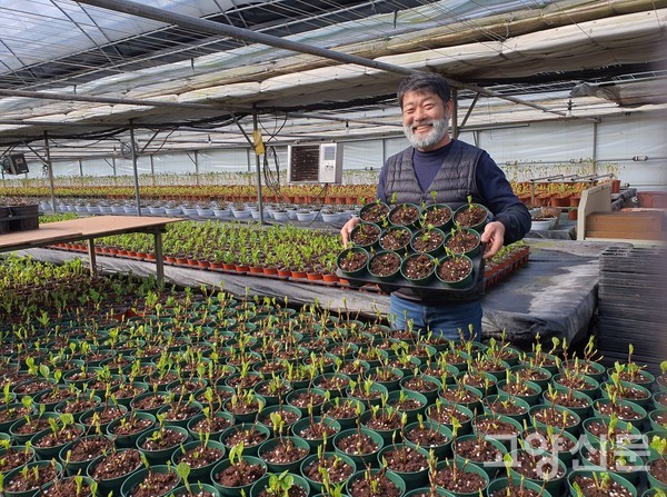 노호영 대표가 로컬매장으로 출하하는 수국을 보여주고 있다.