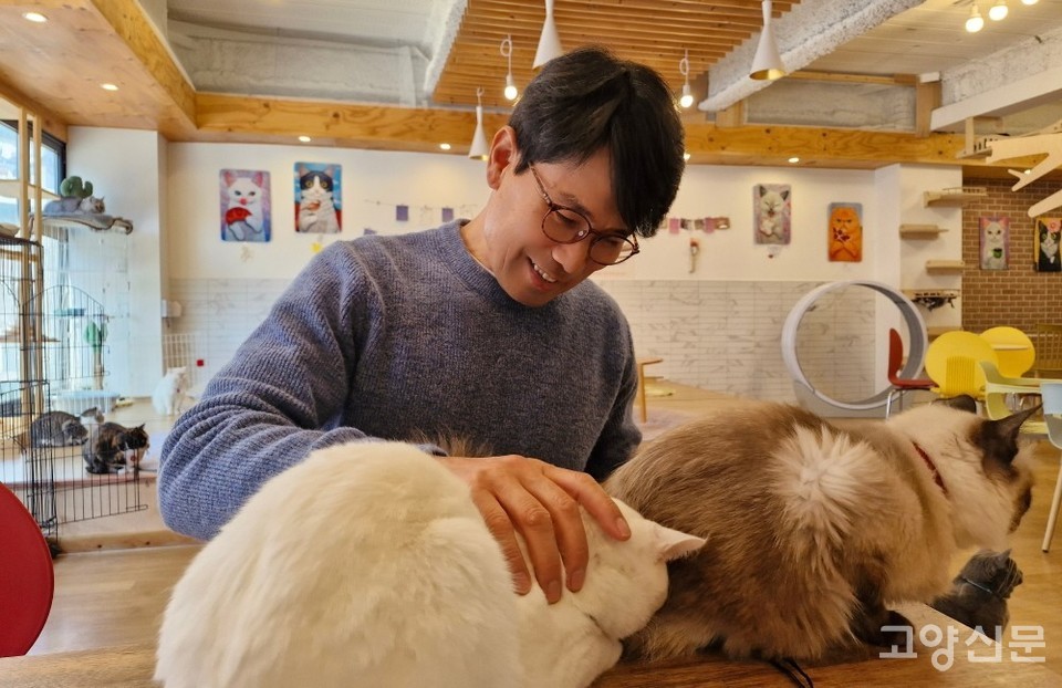 일산의 한 유기묘 카페에서 만난 고양이 탐정 김관채. 순식간에 모든 고양이의 사랑을 한몸에 받는 것을 보니 역시 고양이 탐정답다.