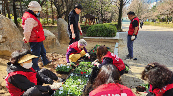 일산3동 주민자치회가 초화를 심고 있다.