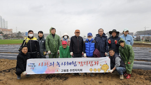 고봉동이 주민자치회 주관으로 ‘사랑의 감자심기’를 했다.