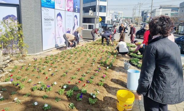   대덕동이 봄을 맞아 ‘봄 초화’를 식재하고 주변 환경을 정비하며 마을을 가꿨다. 