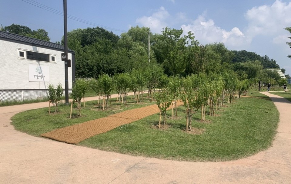 행주산성한강공원에  기증수목(무궁화)으로 조성된 녹지. [사진제공=고양시]