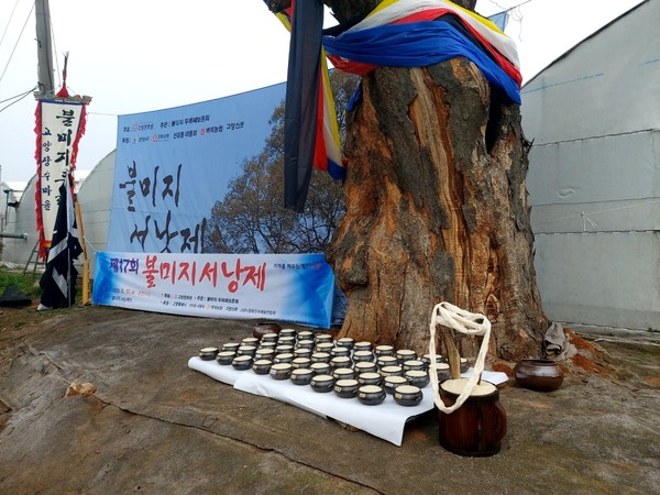 불미지서낭제를 지내는 서낭나무. [사진제공=유장수]