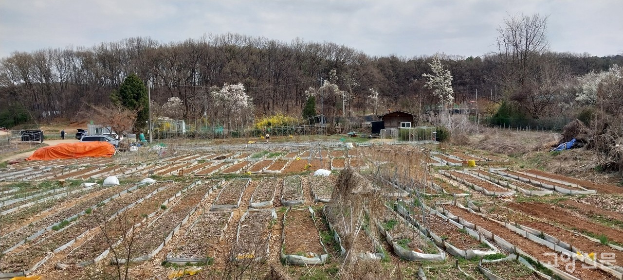 꽃나무에 둘러싸인 농장풍경