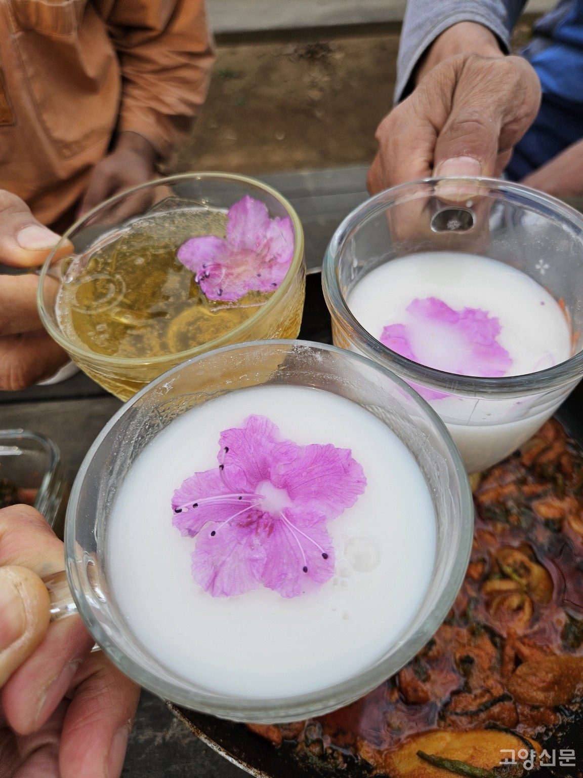 진달래를 감상하는 시간