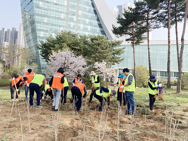 무궁화 묘목 식재모습 [사진 제공 = 고양컨벤션뷰로]