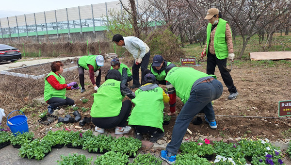 행주동 주민자치회 위원들이 초화를 심고 있다.