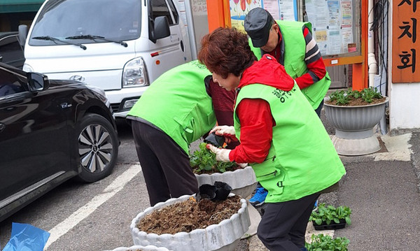  화단에 초화를 심는 행주동 주민자치회 위원들.
