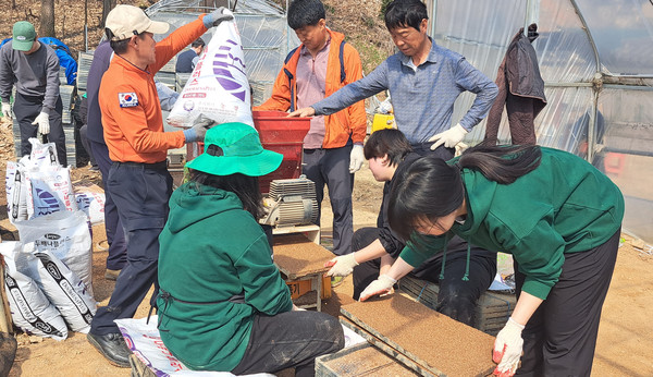 고양시새마을회 직원들이 모판에 볍씨를 한장 한장 정성스럽게 담고 있다.