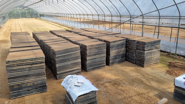 고양시새마을회와 농민들이 함께 담은 모판.