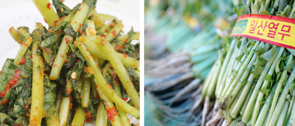 일산열무로 만든 열무김치(왼쪽)와 일산열무.