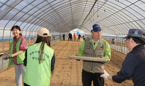 지도농협 직원들과 모판을 나르고 있는 장순복 조합장