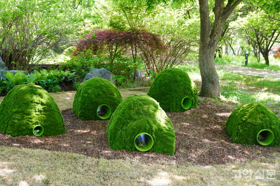 '이상한 계절의 아이들' 전시 일부.