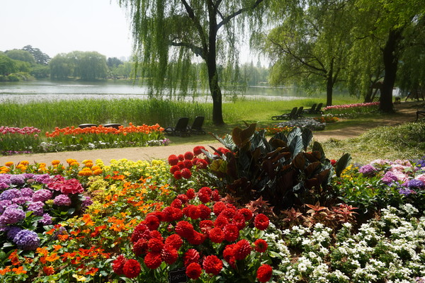 고양시 화훼농가가 참여한 '고양로컬가든'