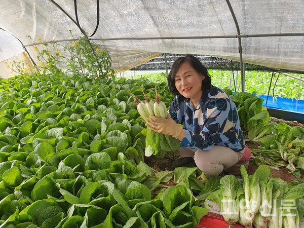 아내 엄주화씨가 갓 수확한 얼갈이를 보여주고 있다.