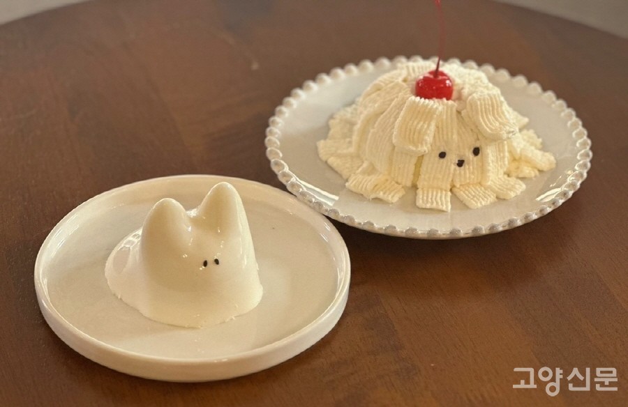 푸멍이, 푸냥이 푸딩. [사진제공=엄윤진]