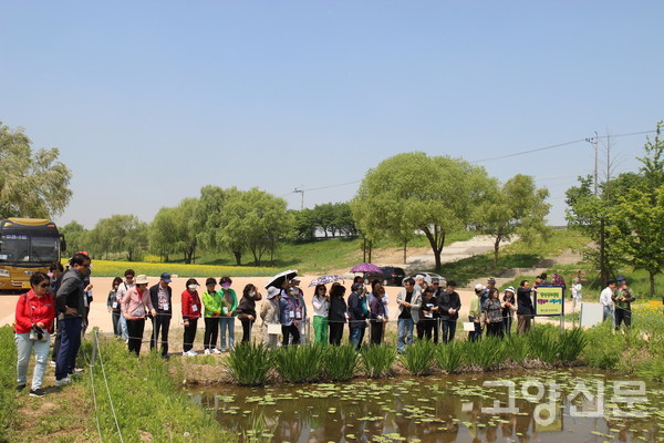 설명을 들으며 연꽃밭 현장을 답사하고 있는 모습