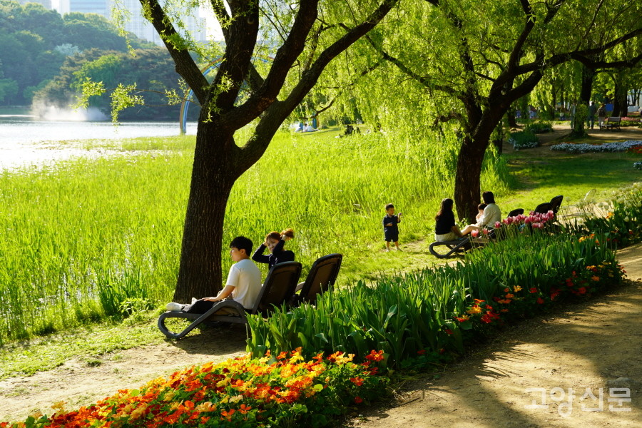 봄날 오후햇살에 반짝이는 호수를 바라보며 느긋한 휴식을 즐길 수 있는 수변정원. 