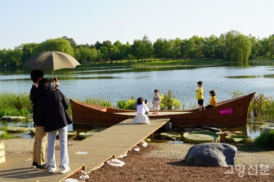 방문객들에게 인기가 높은 나무배 포토존.