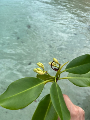 [사진제공=에코코리아]