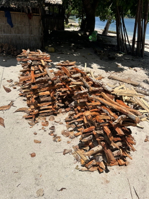 맹그로브나무 땔감 [사진제공=에코코리아] 