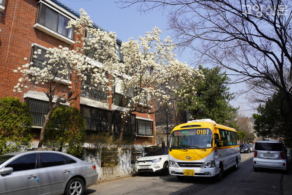 원당1구역 재개발로 인해 2023년 여름에 사라져버린 주교동 빌라단지 풍경. 고양군 시절 최초의 도시개발게획이 진행된 도시사적 의미를 품고 있는 마을이었지만, 그 풍경이 존재했었다는 사실은 이제 몇 장의 사진으로만 남게 됐다.  