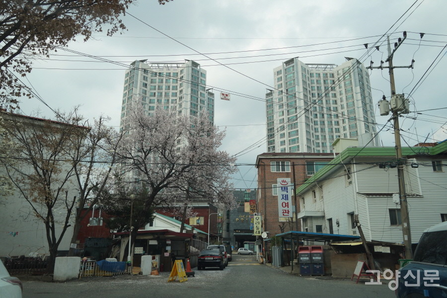 안말(남쪽) 빌라골목에서 건너다 보이는 웃말(북쪽) 더 퍼스트 프라임 빌딩. 두 마을 사이에 통일로가 지나간다. 