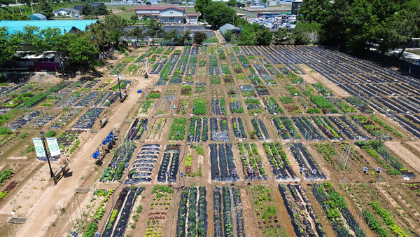 3000여 평의 늘푸른 주말농장.