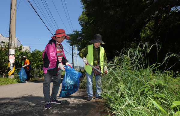 신도농협 고향주모회원들이 마을에 버려진 쓰레기를 주워 봉투에 담고 있다.