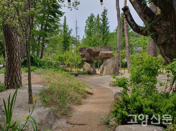 멋스런 큼지막한 바윗돌 위에는 돌단풍과 이끼가 자라고 있다.