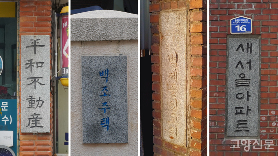 관산동 마을에서 만난 돌간판들.