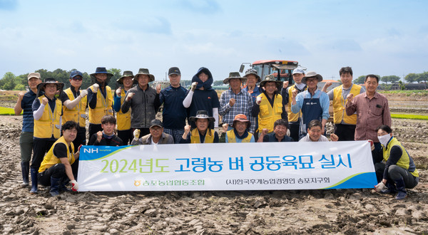 송포농협이 고령농 벼 공동육묘에 함께 했다.