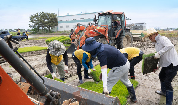 모판 나르기에는 송포농협과 농업경영인 송포지구회가 공동 지원했다.