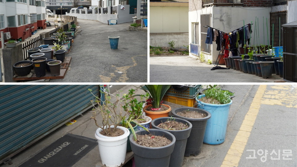 봄을 기다리는 골목길의 화분들. 기자가 3월 말에 찍은 사진들이라 아직 식물들이 식재되지 않았다. 