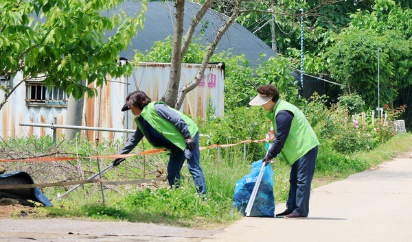 고향주부모임 회원들이 길가에 어지럽혀진 쓰레기를 주우며 환경정화활동을 하고 있다.