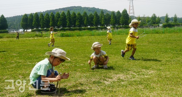 해모아 어린이집 아이들은 안전상의 이유로 교란식물을 직접 제거하지는 않았지만 공원 내 쓰레기 줍는 역할을 제법 충실히 했다.