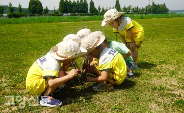 해모아 어린이집 아이들이 5일 환경의날 행사에 참가해 공릉천 문화체육공원에서 쓰레기를 줍고있다