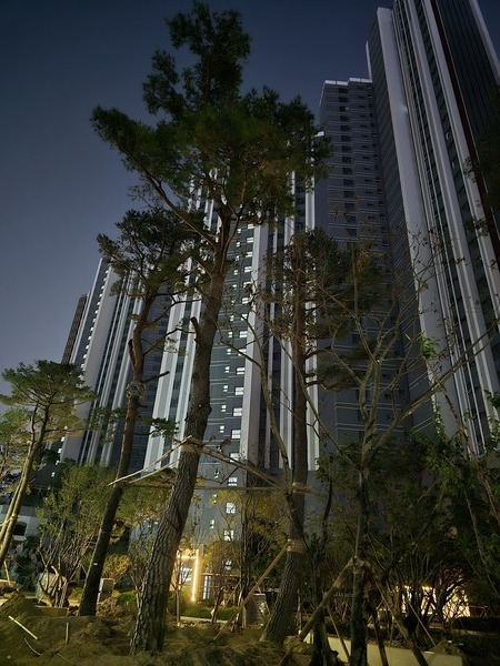 조합원들은 일반입주자 의견을 반영해 기존보다 더 많은 예산을 투입해 조경에 신경을 쓰고 있다. 