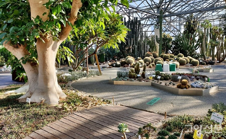 고양 선인장전시관 실내 모습.