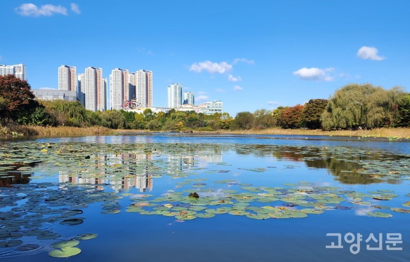 연꽃들이 추가 식재된 자연호수 구역. 
