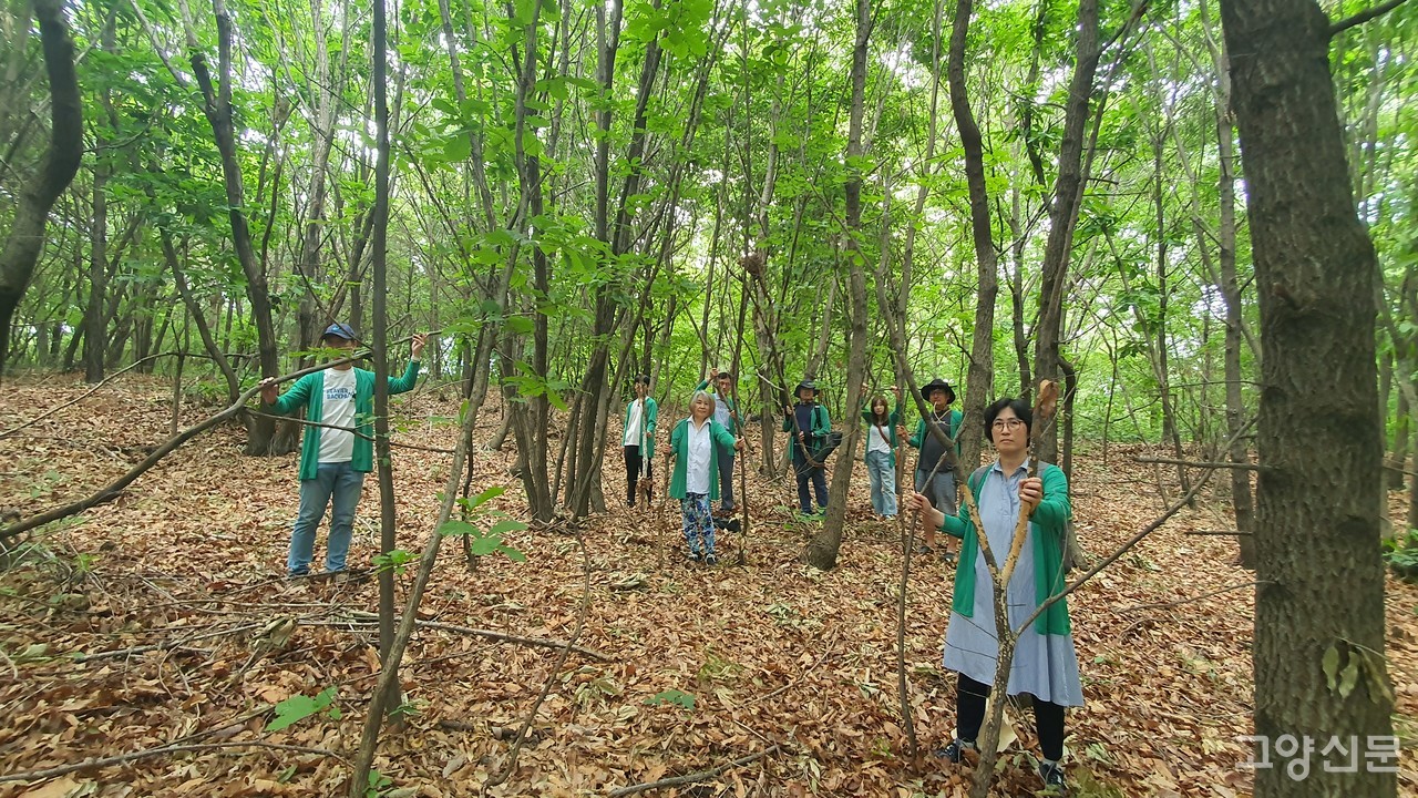 범대위에서 활동하는 ‘산황산 지킴이’들이 심하게 훼손된 나뭇가지를 들어 보이고 있다.