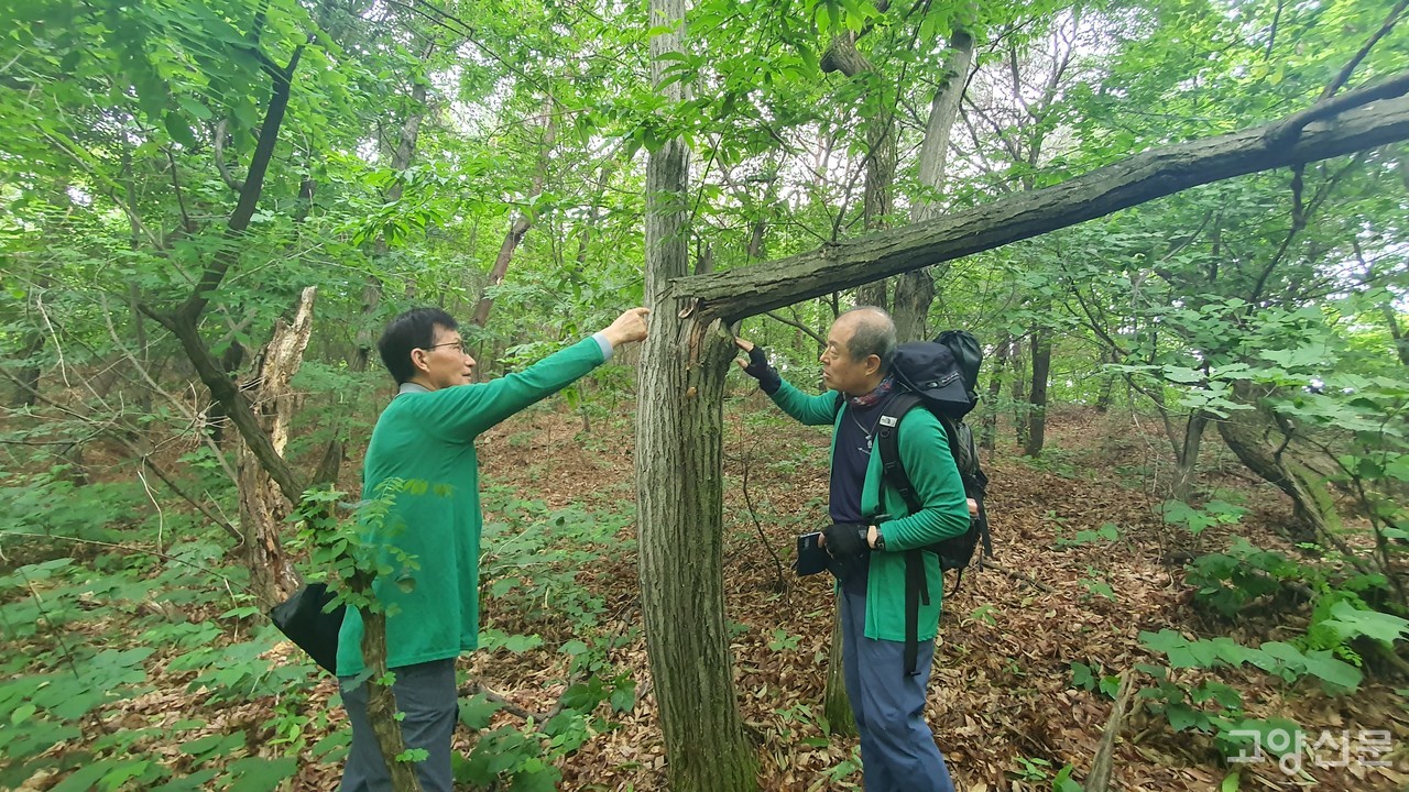 윤판중(왼쪽) 중앙하이츠아파트 동대표와 김범수 자치도시연구소장이 산황산의  숲 훼손 현장을 돌아보고 있다. 